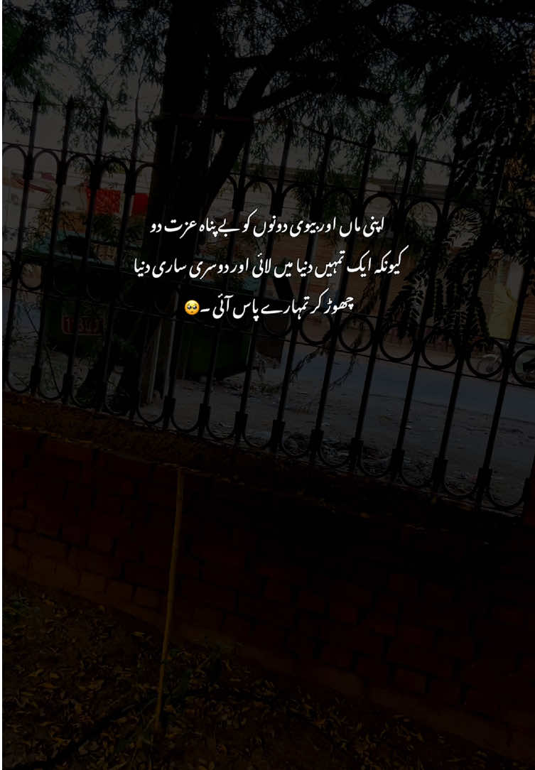 Respect🥹#grow #fyp #poetry #viralvideos #aestheticvideos 