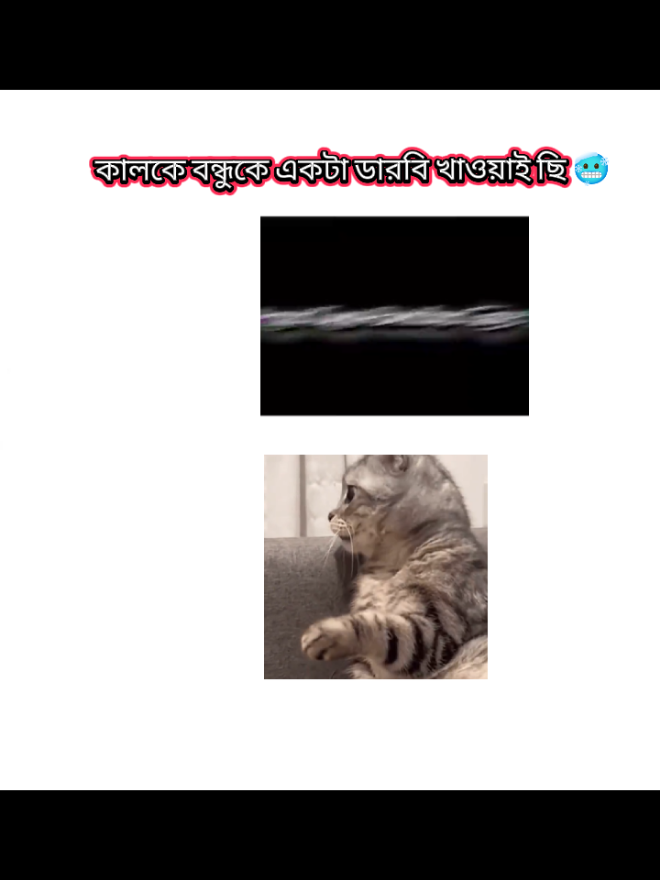 কালকে বন্ধু কে একটা ডারবি খাওয়াই ছি তার পর বন্ধুর story 🥶#tiktokofficialbangladesh #bdtiktokofficial #tiktokofficialbang #noyon9450 #video 