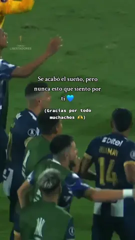 Gracias muchachos nada que reprocharles....💙🤍 Porque este amor no es para cobardes 🤍 Arriba Alianza toda la vida !! 💪 #alianzalima #blanquiazul #arribaalianza #tlv #viral 