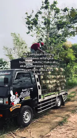 ndang tukuo ayam mahku #blitar24jam #broilerchicken #peternakmuda #fyp #distributorayam 