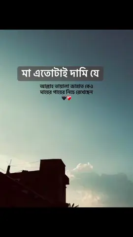 #duet with @সা জু 🦋🖋️ #everyone 