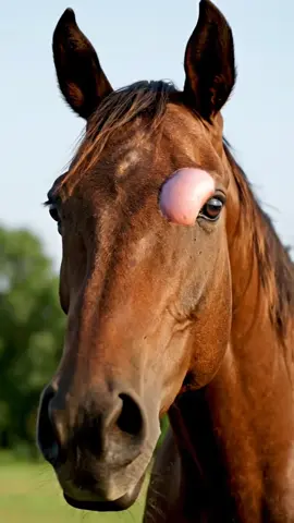 #trending #viralvideo #fyp #growmyaccount #foryou 