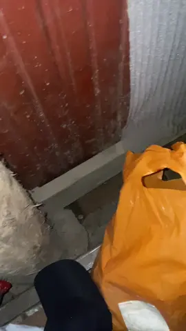 #មើលអីហើយទៅ លត្ថផល់ផឹកៗរត់ទៅដេក😆