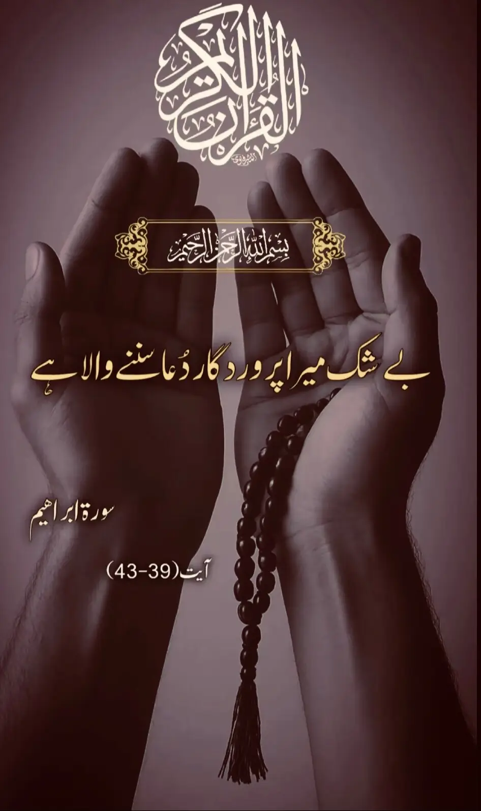 Quran translation #quran_alkarim #foryou #foryoupage #quranrecitation #unfreezemyaccount 