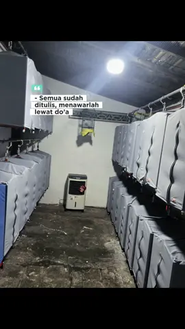 Semangat untuk hari ini prend🥰 #peternakkenariindonesia #kenarisoloraya #fyp #peternakkenari #Sagitarius27canary 