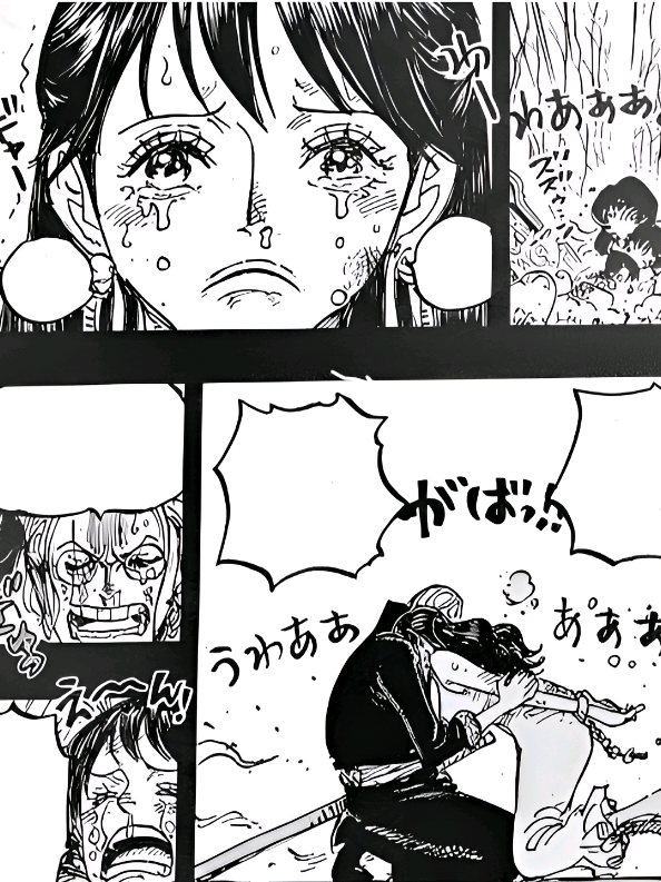 akhirnya shakky berhasil di selamatkan, rayleigh secara resmi mendapatkan shakky seutuhnya !!  #onepiece #onepieceedit #onepiecemanga #rayleigh #margawod || @𝐌𝐞𝐥𝐥 𝐃. 𝐒𝐭𝐮𝐬𝐬𝐲୨ৎ ❤ cr : @scott_presett 