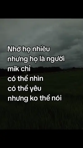 no cap #kocap #xhuong #xh #xhtiktok 