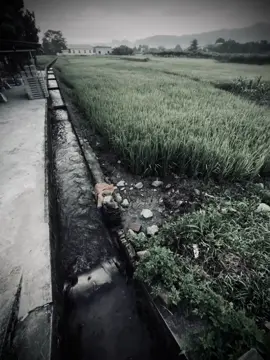 人的眼睛是黑的，心是红的，但有时眼睛-红，心也就黑了。 