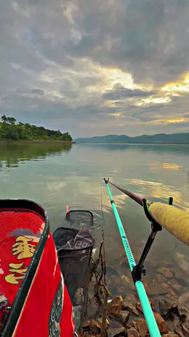 Nước sâu + cá khoẻ + đồ nhỏ = Phê !! Nửa ký thui mà chạy ngán luôn. #fishing #camping #86binhthuan #vietnamfishing 