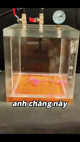 Phần 1 | có thể bạn chưa biết #xhuong #flypシ #viral #class9B 
