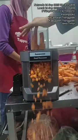 Testi alat pemotong sayur🙏🏼