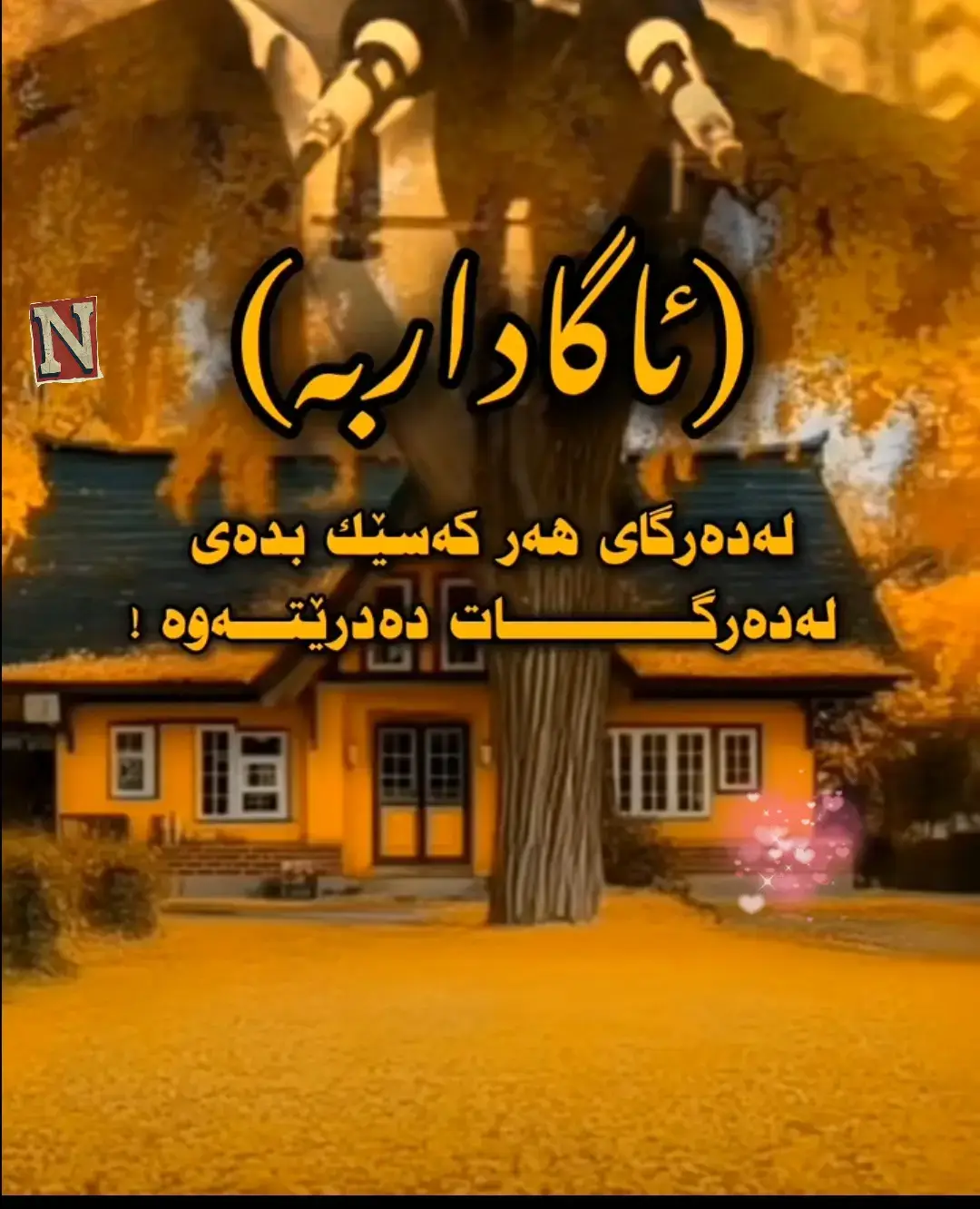 #ranyakam___hawler___slemani_karkwk_ 