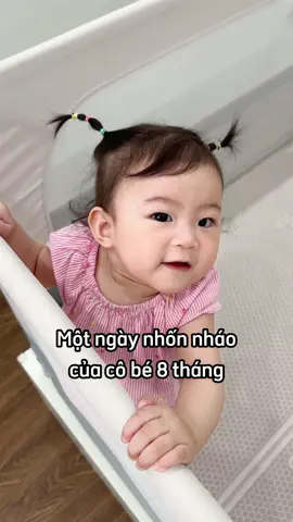 Một ngày nhốn nháo của Mochi 8 tháng tủi đây cô chú iu ơii 💗🍡✨ #cobemochi #bimsua #embedangyeu 