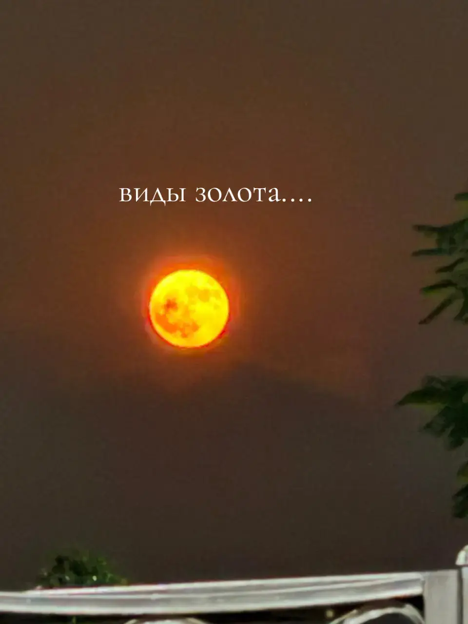 @T E M I R O V🦈 @ABDULLAEV MAKS @🦅 @ABEKE @ABDULLAEV @A B O S I K @abdullaevvv.a🦅 @akhmedovvv.07 @mahmudoovvv🗽 @_abdullaev_abdulla_2013 @_KNUAZ__55_ @🦅 @707 