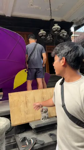 2 burung super siap tembus awan