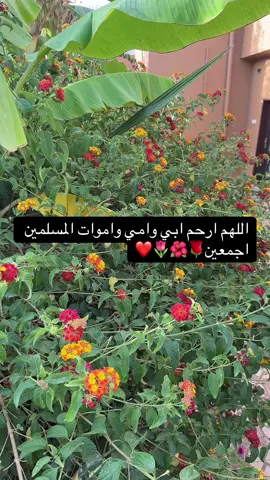 #👐🏻👐🏻👐🏻🌹❤️ ####🌹❤️🌹❤️ 