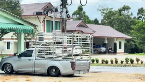 #MADEINNONGPIA🩶🦍#พูดไม่ฟัง😜 #NITช่วงล่าง💨 #ช่างสรคอกซิ่ง💯  @อู่ช่างอ๊อฟช่วงล่างซิ่ง 🦍 @Chinathip Jaipeaw @แนท อินเตอร์สด #NITช่วงล่าง🩶 