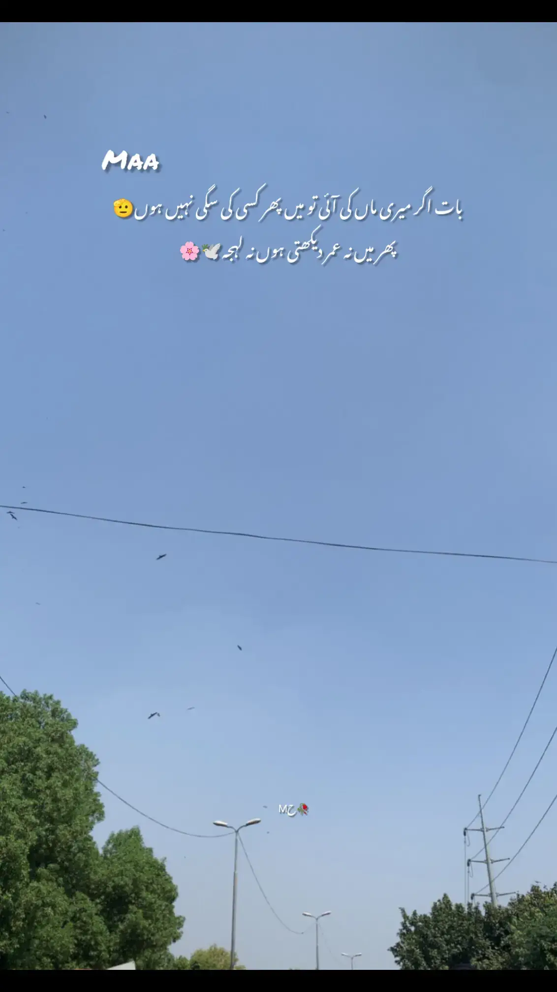 Maa G 🌸🕊️🫂🌍 #maa #motherlove #fyp 