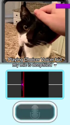This game broke my humor 🤣#thechoicervoicer #funnymic #twitchstreamer #thechoicestvoice #johniecanine 
