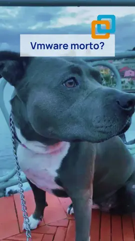 60 miliardi spesi. 72 core minimi. Licenze esplose. Un sito da incubo. VMware non è in crisi tecnica. È un piano di mungitura. E il prodotto, ormai, è finito. #vmware #broadcom #backendpanic #devopsitalia #cloudhybrid #realtalk