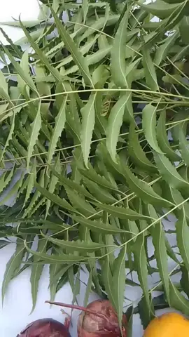 #lyrics #afriquedusud🇿🇦 #portugal🇵🇹 #senegal #france🇫🇷 #Allemagne #camerountiktok🇨🇲 #cotedivoire🇨🇮 #marocaine🇲🇦 #cotedivoire🇨🇮 #tunisia🇹🇳 #beljique #