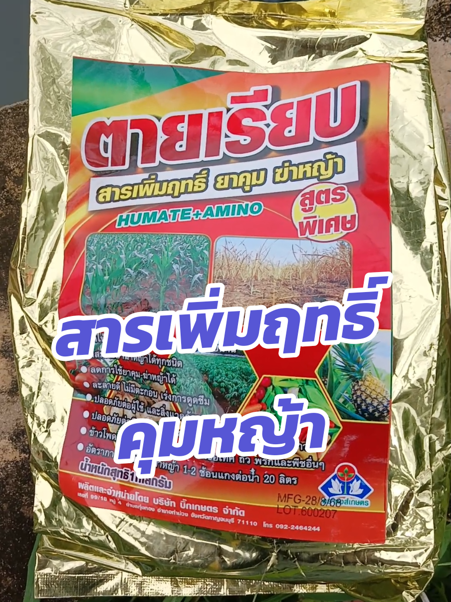 #ตายเรียบ #สารเพิ่มประสิทธิภาพพืช #สารคุมวัชพืช #เกษตรสาวภูธร 
