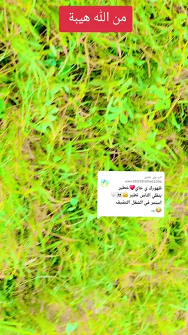 الرد على @user20333169605396 