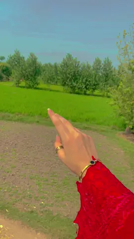 #2 wari jutt bilo marya🙂🔥😎#پنڈاں_والے #foryoupage #foryoupageofficial #growmyaccount #malikqueen9412 #foryoupagetiktok #plzunfrezemyaccount 