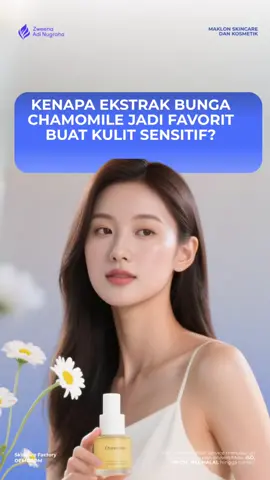 Chamomile bukan cuma buat teh, tapi juga punya manfaat menenangkan kulit kemerahan dan iritasi. Kandungan anti-inflamasinya bikin kulit rileks dan lebih tahan terhadap kemerahan. Di Zweena, kamu bisa maklon face mist, toner, atau moisturizer dengan ekstrak chamomile—lembut dan nyaman untuk kulit sensitif atau rosacea. Mau punya skincare efektif dan ramah di kulit sensitif? Konsultasikan sekarang ke Zweena, kami siap bantu! #MaklonSkincare #ChamomileExtract #KulitSensitif #MaklonIndonesia #ZweenaAdiNugraha