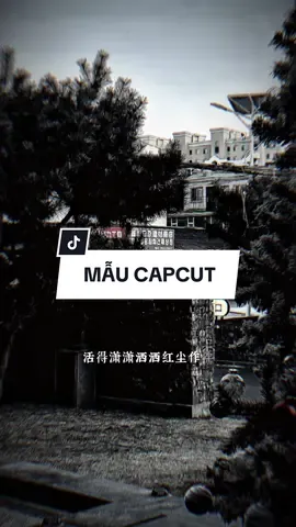 Nhạc trung này cuốn lắm nè mấy ní =)) #CapCut #edit #mẫucapcut #xh #nhachaymoingay #lyrics #capcutmaster 