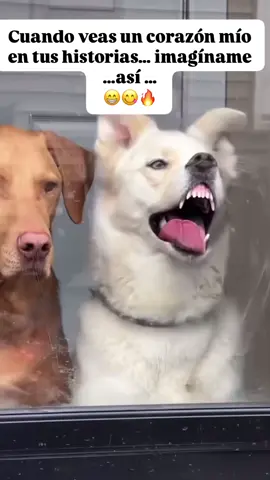 #🤣 #😘😘😘 #🫵