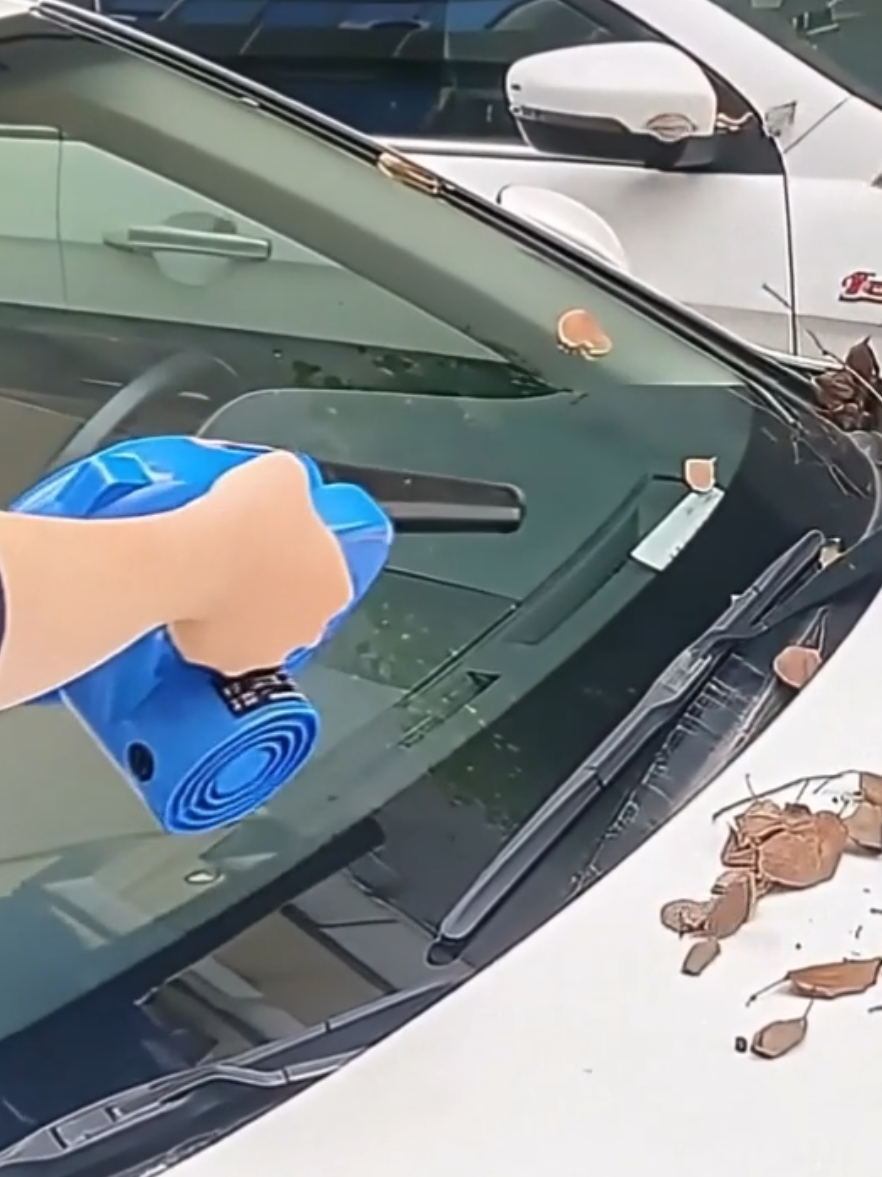 Sumpah, bersih-bersih rumah ga pernah semudah ini! 🥹✨ Bikin debu di sofa, karpet, bahkan bulu anabul kering total setelah mandi! Wajib punya! 💥👍🏻 #pembersihdebu #blower2in1 #rumahbersih #alatrumahtangga #blower 