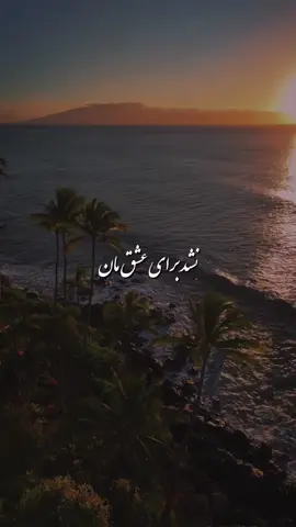 آرام، آرام نشستی در دل من ای آشنا! #farsisong #lyrics #lyricsvideos #fyp #persian 