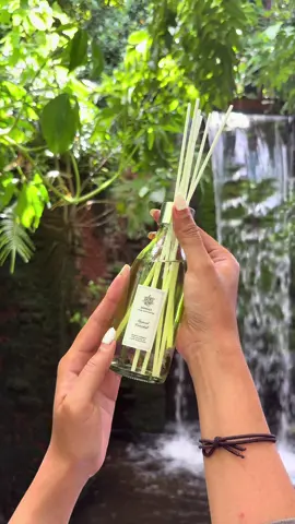 เติมการพักผ่อนด้วยกลิ่นนี้เลย #ก้านไม้หอมจัสมะลิ #jasmali 