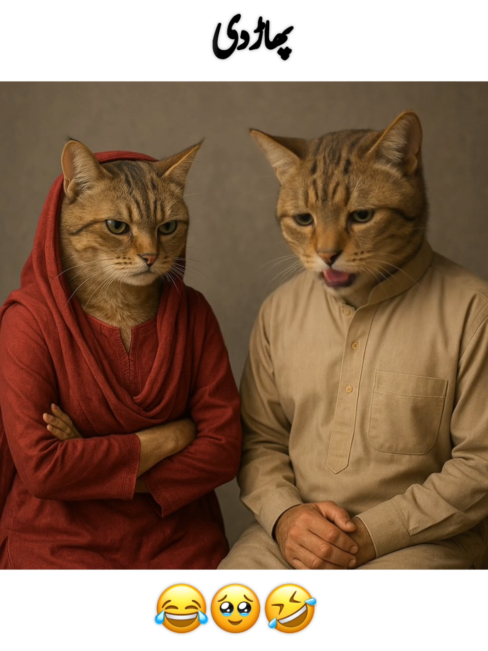 Dear TikTok team please support my content and viral my video|•• #pakvsind #funnycatsoftiktok #foryou #foryoupage #viral 