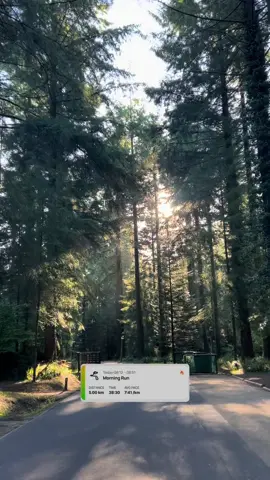 @Center Parcs UK & Ireland final full day!  Running, pancake house, park visit & dinner in the evening which apparently I forgot to film! 🎥  Looking forward to next year when Cruz will be able to join in with more activities.  #centerparcsuk #centerparcs #ukholiday #holiday 