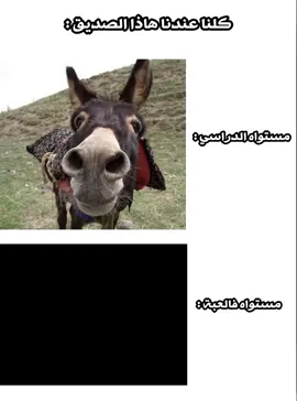 منشن 😂🔥 @ #تصمبم_فيدهات🎶🎤🎬 #الشعب_الصيني_ماله_حل😂😂🏃🏻‍♀️ #سودانيز_تيك_توك_مشاهير_السودان🇸🇩 