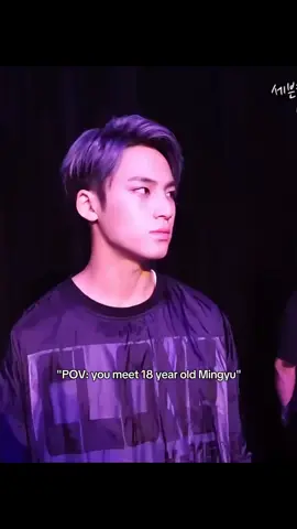 People have no idea I already stanned SVT and biased Mingyu since this era😭 #mingyu #seventeen #kpop #fyp 