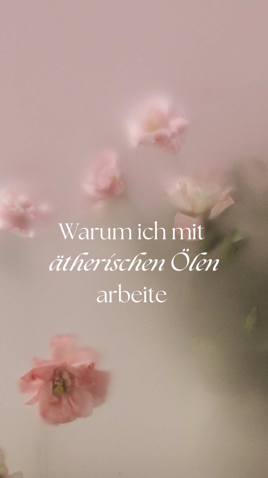 ✨Wusstest du, dass ätherische Öle ohne Umwege über die Nase direkt in unser limbisches System gelangen, den ältesten Teil unseres Gehirns? ✨ Dort sind all unsere Erinnerungen und Emotionen gespeichert 💭💓. Deshalb können uns bestimmte Düfte so stark triggern, und genau darin liegt ihre Kraft. Hey, ich bin Ramona 🌸  Energy Coach für Frauen und Mamas, die sich wieder mehr Energie und Leichtigkeit im Alltag wünschen. 👉 Folge mir für mehr Inspiration & Tipps rund um Energie, Balance und ätherische Öle. 🌿 Jede Pflanze, jede Blume, jeder Duft steht für ein bestimmtes Thema, für eine Emotion. Wenn wir uns darauf einlassen, können wir mit den Ölen auf eine ganz persönliche Reise gehen, zurück zu uns selbst. Das ist die pure Kraft der Natur. ✨ Wir sind Natur, und genau deshalb reagieren wir so gut auf Düfte. Sie helfen uns, unser Nervensystem zu regulieren, unsere Stimmung zu verändern und uns gerade in stressigen Situationen, wir Mamas kennen das 😉 innerhalb von Sekunden in einen anderen Vibe zu bringen. 💫 Als doTERRA Wellnessberaterin nutze ich ausschließlich die CPTG®-geprüften Öle von doTERRA 🌿✨. Damit habe ich die Sicherheit, dass sie zu 100 % rein sind – ohne Zusätze, ohne Kompromisse. 💎 Und genau das macht für mich den Unterschied. Wenn du Fragen hast oder tiefer in das Thema einsteigen möchtest, berate ich dich sehr gerne persönlich.  💌 Was ist dein Lieblingsduft? Hast du schon ein Lieblings-Öl? Schreib es mir gerne in die Kommentare! #ätherischeöle #mamasein #energycoach #leichtigkeitimalltag #selbstfürsorge 