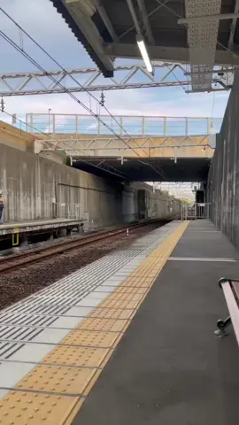 JOSS🤣#fyp #kensusah🇯🇵 #jhisuseiindonesia🇮🇩🎌 #kuli #fypage 