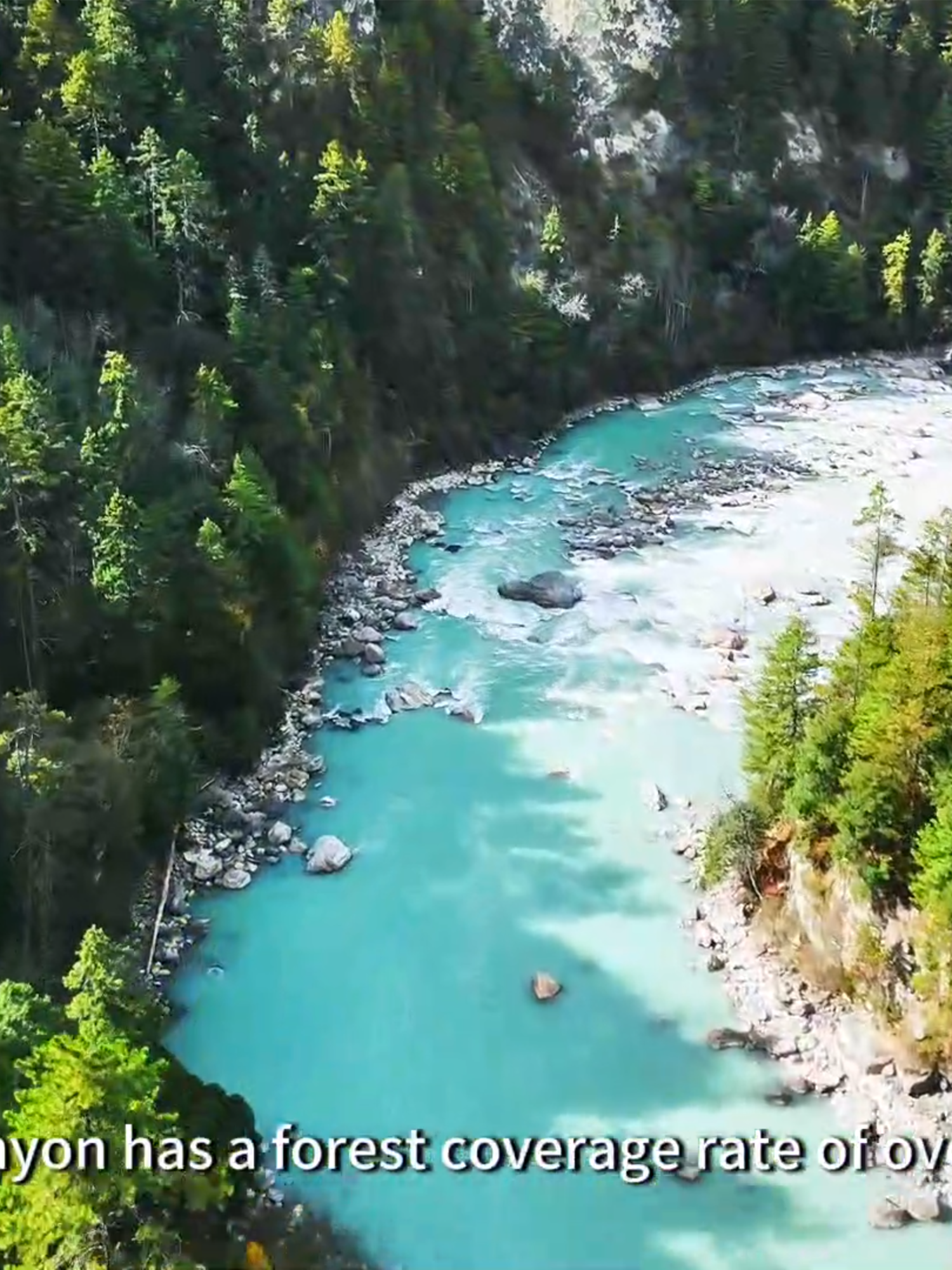 The Ecological Paradise of the 'Third Pole of the Earth' #xizangchina#yarlungzangboriver