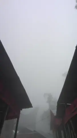 🥶🥶🥶🥶#toraja 