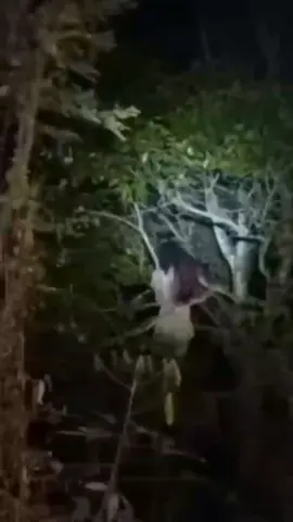 Sundel bolong adalah mitos hantu dari nusantara yang umumnya digambarkan sebagai wanita cantik berambut panjang dan bergaun panjang warna putih yang bolong di bagian punggung yang sedikit tertutup rambut panjangnya sehingga organ-organ tubuh bagian perut terlihat. #sundelbolong #kuntilanak #fyp #fypdong #foryoupage 