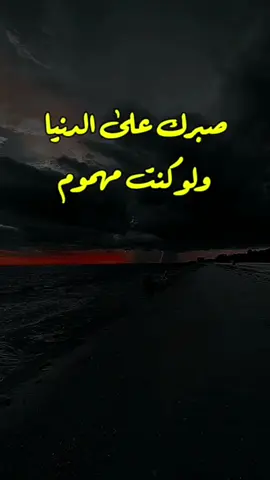 #في هذا اليوم 