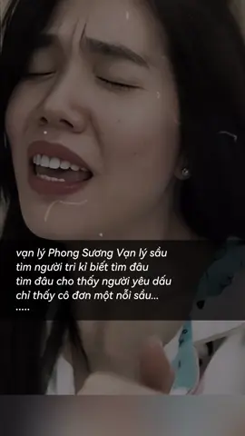 vạn lý phong sương Vạn lý sầu...#nhachaymoingay #tiktokgiaitri #tamtrang #trangmusic102 #sbkentertainment