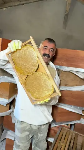 Bingöl Karlıova Yaylasında Doğal Karakovan Balı…🐝🐝 #türkiye #bingöl #honey #gurmemarask 