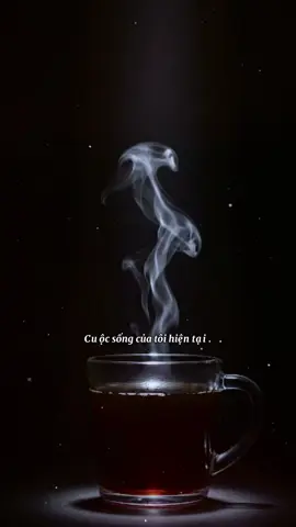 Cuộc sống của tôi hiện tại… #trend #xuhuong #chiasecamxuc #camxuc #tamtrang 