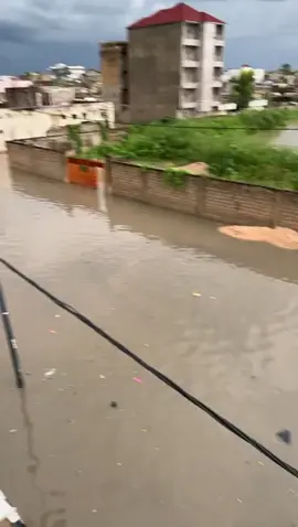 Il est temps gni entamer sunu projet assainissement à Medina baye Medina baye ça kaw objectif 10 millions de Talibè : Yesal Medina baye sunu yite 