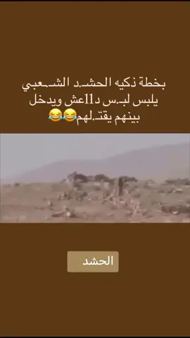 #تاريخ2014 #اهلالجنوب🔥💪 #شهداء_العراق_ذكرى_لا_ينساها_الجميع 