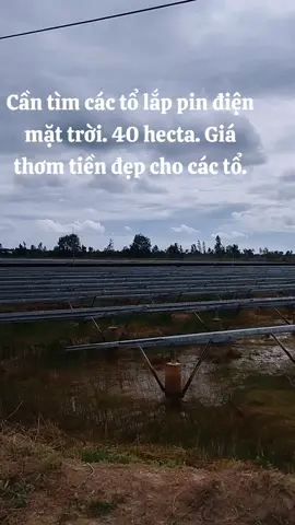 #xaydung #dienmattroi 